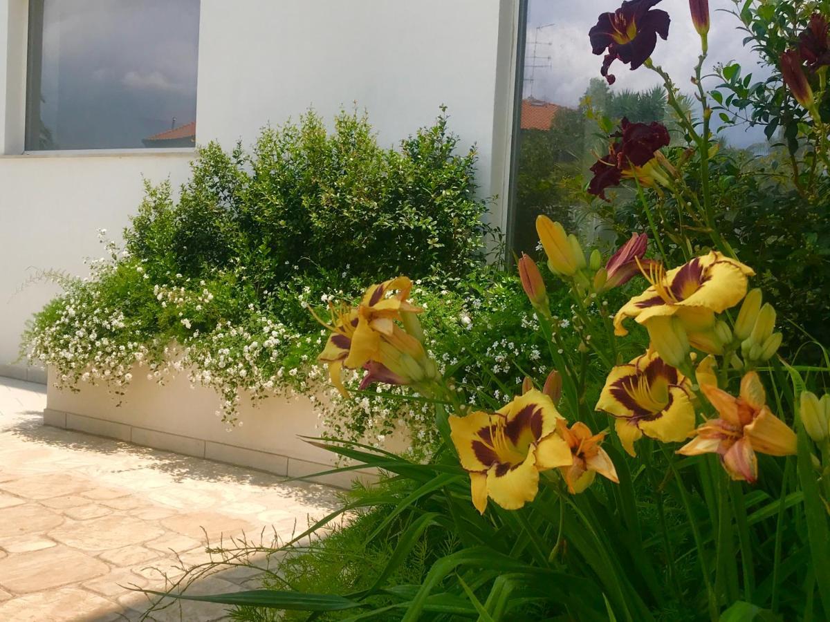 Path House - Etna & Sea View Apart otel Riposto Dış mekan fotoğraf
